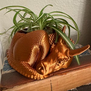 May include: A copper-colored ceramic planter shaped like a sleeping dragon with a green spider plant growing inside.