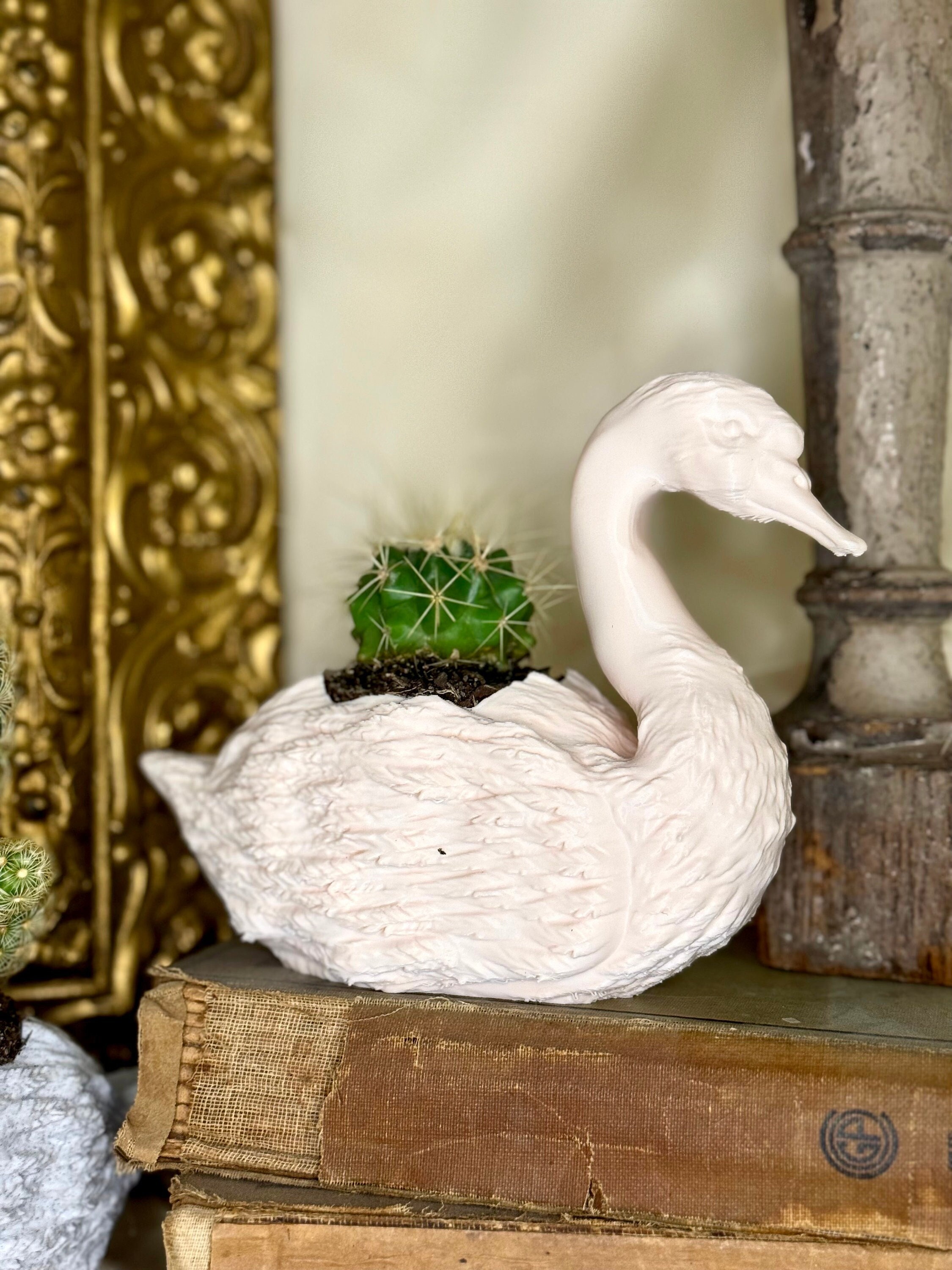 pot succulent White Succulent and Cactus Ceramic Trough Plant Pots