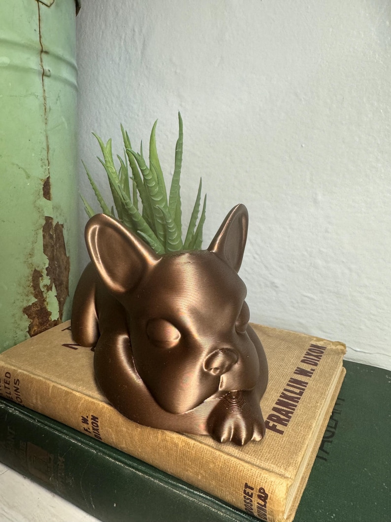 Może przedstawiać: Ceramiczna doniczka w kolorze miedzi w kształcie buldoga francuskiego, z małą sukulentem w środku. Doniczka stoi na stosie starych książek.
