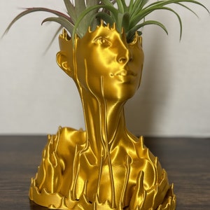 Woman Planter, 3d Printed Planter, Bust Planter, Feminine Planter, Woman Pot, Woman Vase, Face Planter, Face Vase, Gift for Woman, Female