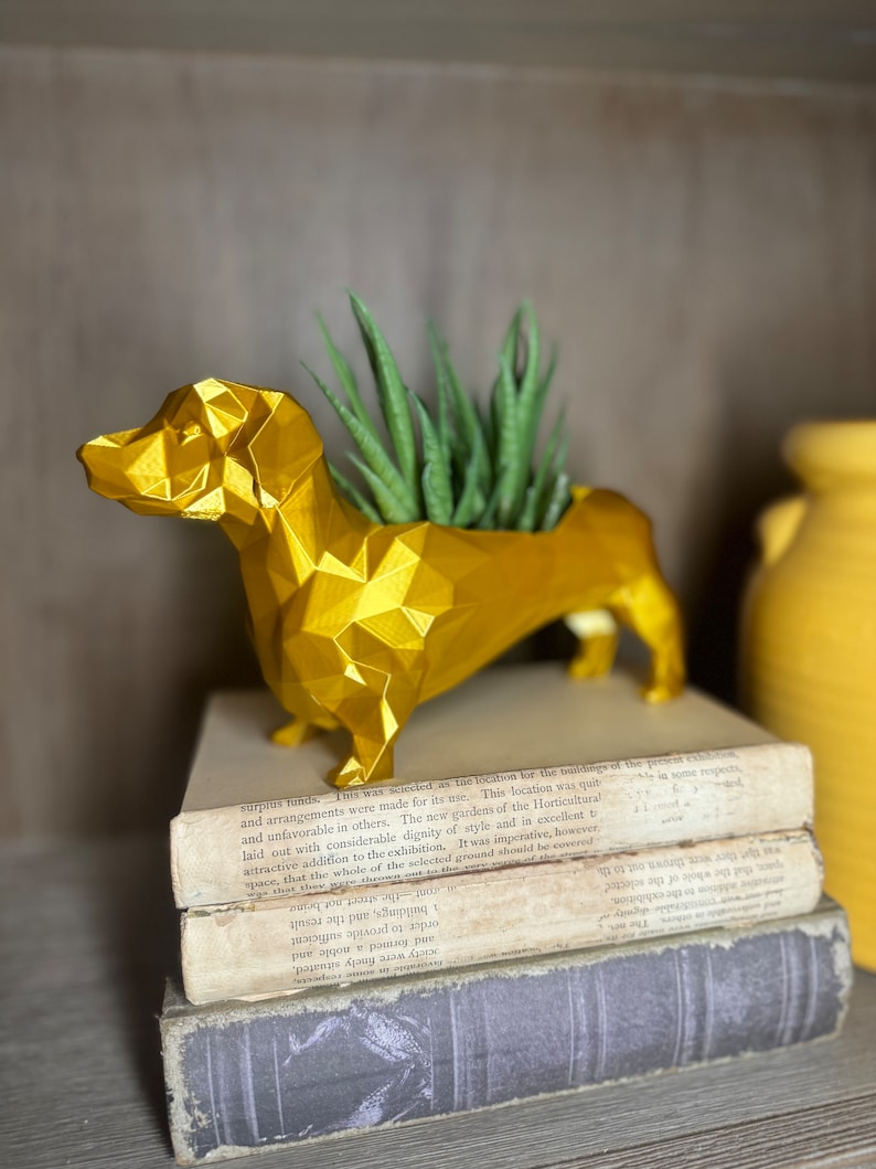 May include: A gold geometric dachshund planter with a succulent plant growing inside. The planter is sitting on a stack of old books.