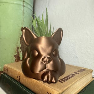Może przedstawiać: Ceramiczna doniczka w kolorze miedzi w kształcie buldoga francuskiego, z małą sukulentem rosnącym w środku. Doniczka stoi na stosie starych książek.