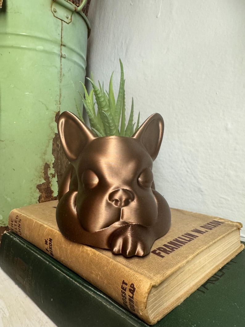 Może przedstawiać: Ceramiczna doniczka w kolorze miedzi w kształcie buldoga francuskiego, z małą sukulentem rosnącym w środku. Doniczka stoi na stosie starych książek.