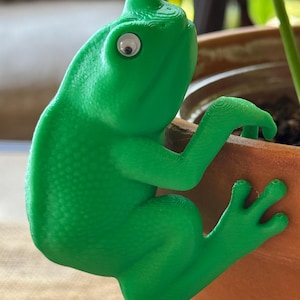 May include: A bright green frog-shaped plant pot clip with a textured body and white eyes. The frog is clinging to the edge of a terracotta pot, adding a whimsical touch to a plant display.