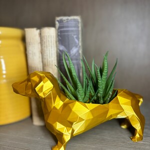 May include: A gold, geometric dachshund planter with a succulent plant inside. The planter is on a wooden shelf with books behind it.