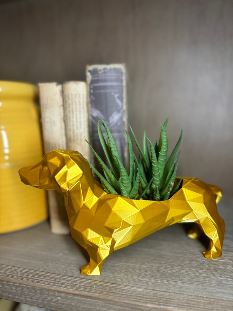 May include: A gold, geometric dachshund planter with a succulent plant inside. The planter is on a wooden shelf with books behind it.