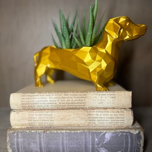 May include: A gold geometric dachshund planter with a succulent plant inside. The planter is sitting on top of a stack of old books.