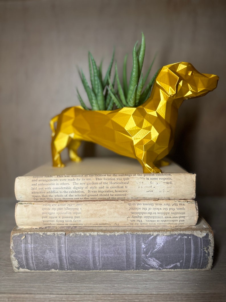 May include: A gold geometric dachshund planter with a succulent plant inside. The planter is sitting on top of a stack of old books.