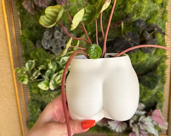 Booty Planter, 3D Printed: Funny Planter, Butt Planter, Cheeky Desk Organizer, 40 Color Options