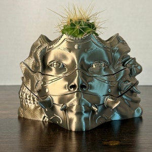 May include: A silver-colored, 3D printed planter shaped like a face with a small cactus plant growing out of the top.