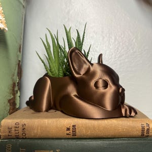 Może przedstawiać: Brązowa ceramiczna doniczka w kształcie buldoga francuskiego, z sukulentem rosnącym w środku. Doniczka stoi na dw&oacute;ch książkach.
