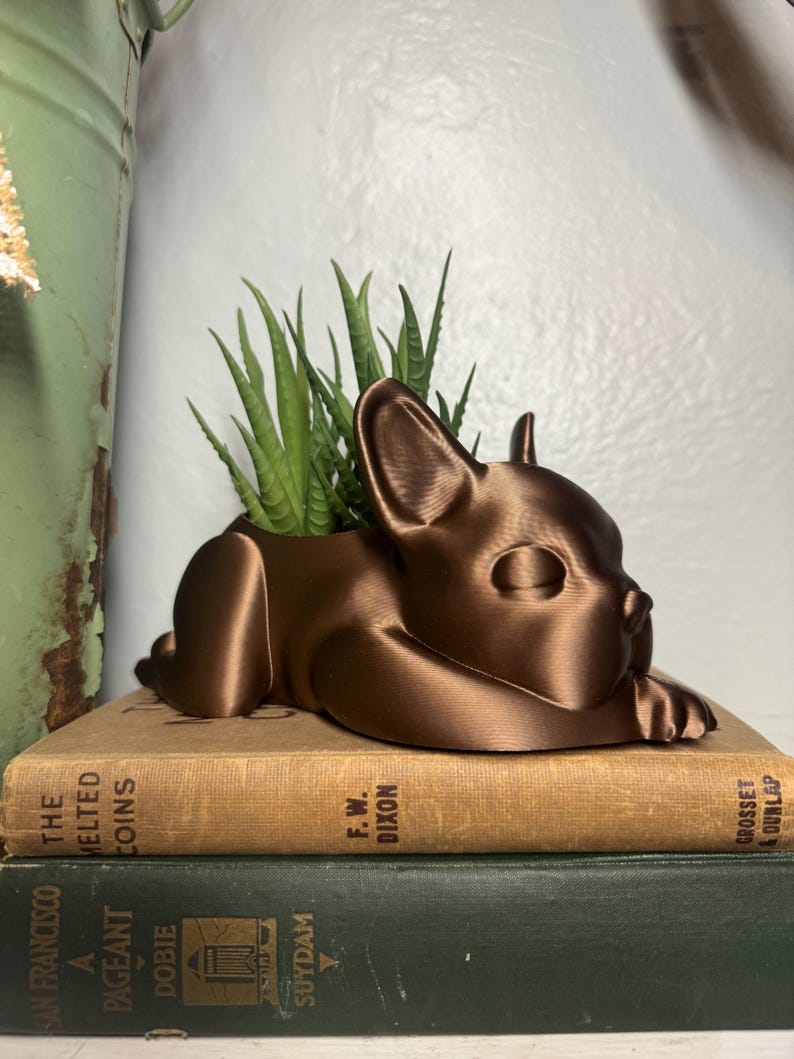 Może przedstawiać: Brązowa ceramiczna doniczka w kształcie buldoga francuskiego, z sukulentem rosnącym w środku. Doniczka stoi na dw&oacute;ch książkach.