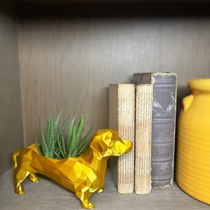 May include: A gold geometric dachshund planter with a succulent plant inside. The planter is sitting on a shelf with books and a yellow ceramic vase.