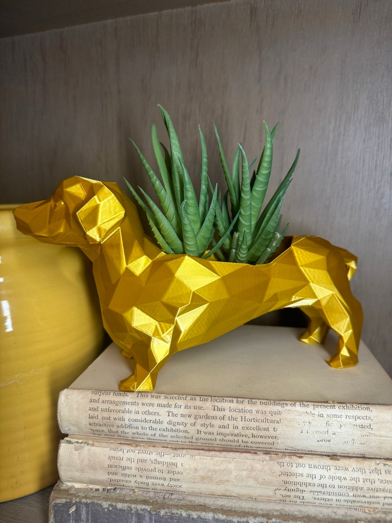May include: A gold geometric dachshund planter with a succulent plant inside. The planter is sitting on top of a stack of books.