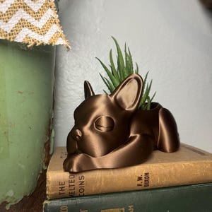 Może przedstawiać: Ceramiczna doniczka w kolorze miedzi w kształcie buldoga francuskiego, z małą sukulentem rosnącym w środku. Doniczka stoi na dw&oacute;ch książkach.