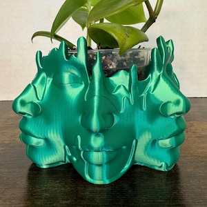 3D Printed Woman Face Planter: Abstract Art Vase