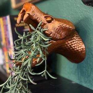 May include: A copper-colored snake head planter with a green succulent plant growing out of its mouth. The snake head is mounted on a wall.