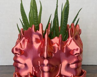 Woman Face Planter, 3D Printed: Abstract Art Vase, Small Plants, Wall Mounting Option, Drip Tray, 40 Different Colors
