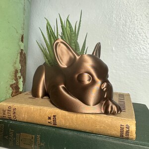 Może przedstawiać: Ceramiczna doniczka w kolorze miedzi w kształcie buldoga francuskiego, z małą sukulentem rosnącym w środku. Doniczka stoi na dw&oacute;ch książkach.