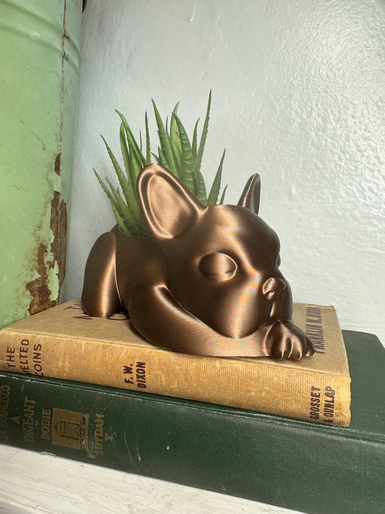Może przedstawiać: Ceramiczna doniczka w kolorze miedzi w kształcie buldoga francuskiego, z małą sukulentem rosnącym w środku. Doniczka stoi na dw&oacute;ch książkach.