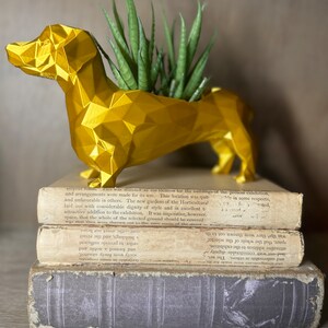 May include: A gold geometric dachshund planter with a green succulent plant inside. The planter is sitting on top of three vintage books.