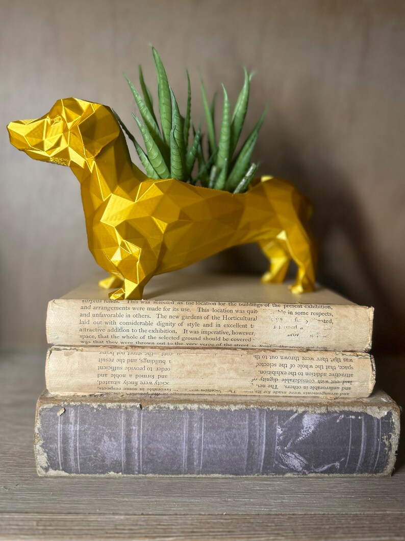 May include: A gold geometric dachshund planter with a green succulent plant inside. The planter is sitting on top of three vintage books.