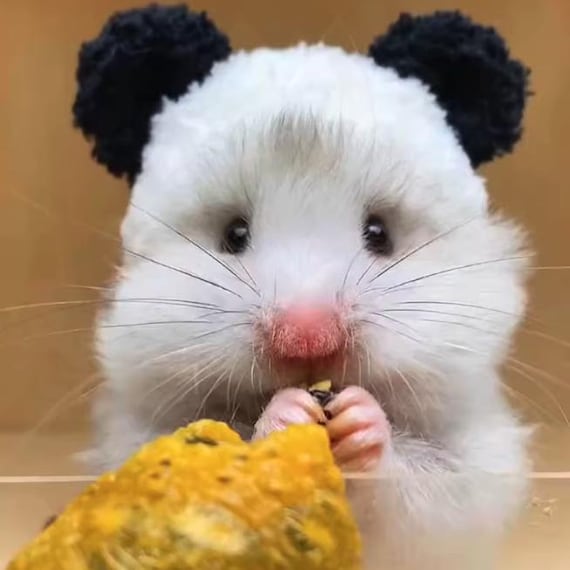 Custom Hamster Hat, Chinchilla Hat, Bird Hat, Handmade Hamster Hat