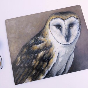Owl painting, Original acrylic painting, Barn Owl, hardboard, home decor, one of a kind, collectible art, owl