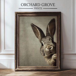 May include: Framed print featuring a detailed portrait of a rabbit with long ears and soft fur. The rabbit peeks out from behind the frame, creating a whimsical and engaging composition. The frame is a warm brown color, and the print is labeled "ORCHARD GROVE PRINTS".