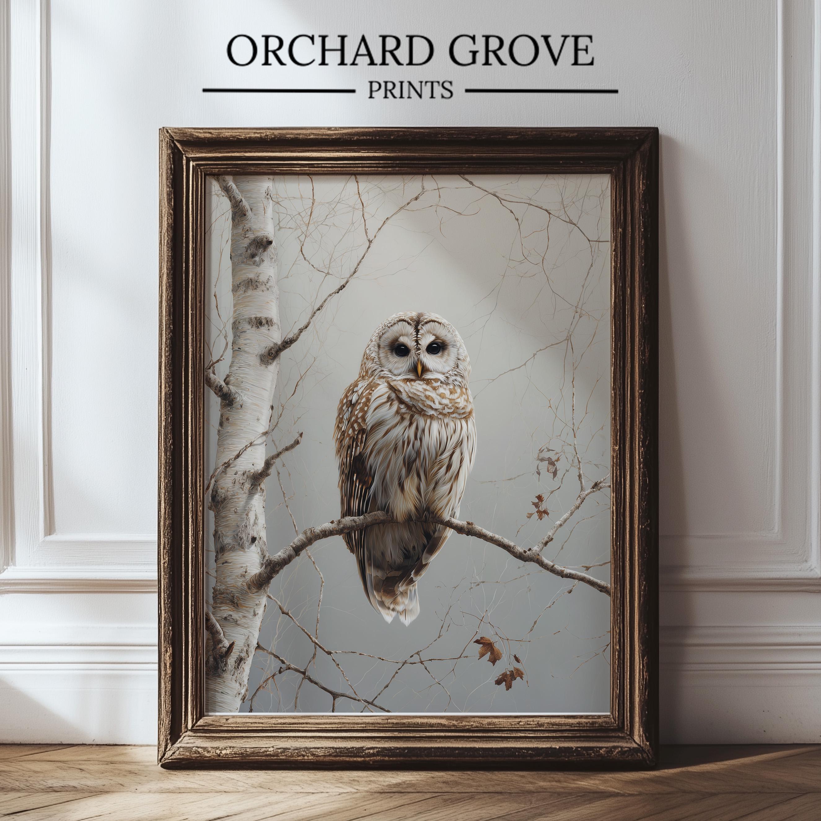 Moody Owl Wall Art, Rustic Owl Print, Birch Tree Art, Neutral Cottagecore Animal Decor, Farmhouse Ow