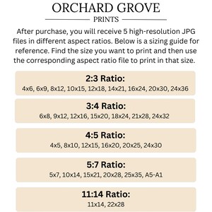 May include: A sizing guide for prints from "ORCHARD GROVE PRINTS" with aspect ratios and sizes, including 4x6, 6x9, 8x12, 10x15, 12x18, 14x21, 16x24, 20x30, 24x36, and more. The guide provides file sizes for printing.