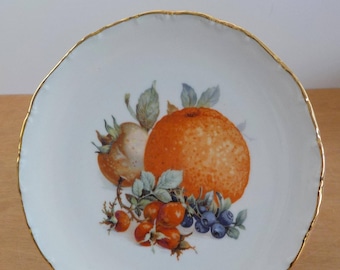 Vintage Fruit Plate Bavaria Orange Blueberry Rose Hip Plate Decorative Gold Trim Single Plate