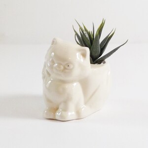 May include: White ceramic cat planter with a green succulent plant inside. The cat planter has a cute, cartoon-like face.
