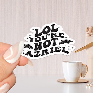 lol non sei Azriel adesivo libresco, regalo per gli amanti dei libri, Merch libresco, adesivo Kindle, Smut Reader, amante della lettura, e-reader