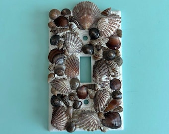 Seashell Encrusted Single Rocker Plate Light Cover - Brown Mix