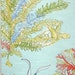 Aqua blue ocean fabric red coral turtle interior home decorating material cotton 45"