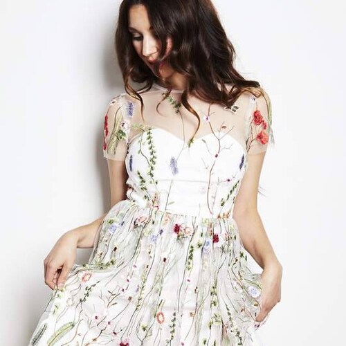 floral embroidered mini dress