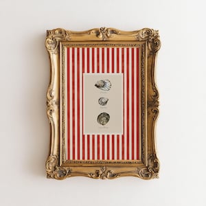 Puede incluir: Una impresión enmarcada con un fondo a rayas rojo y blanco. La impresión presenta tres conchas de ostras con texto debajo de cada concha. El texto dice "Te amo", "Amor de ostra" y "Para siempre en mis ojos".