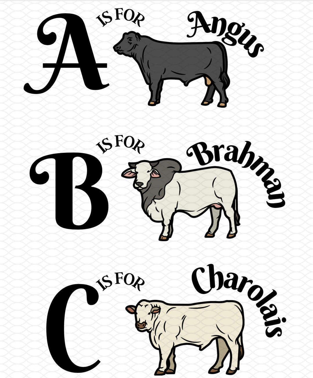 Cattle Breed ABC Alphabet ,kids Shirt Sublimation Transfer ,PNG Digital ...