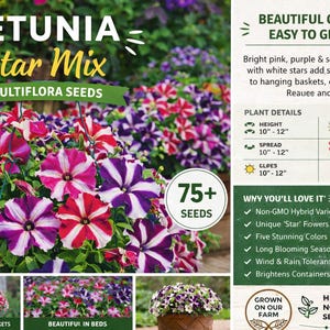 Petunia Seeds – Star Mix Multiflora, Bright Summer Flowers, Non-GMO