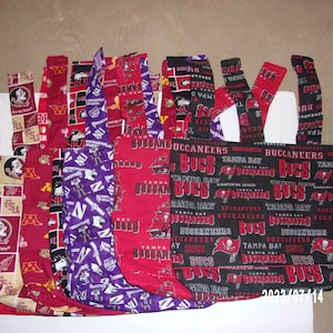 Attachable Walker Tote Bag (Northwestern, NIU, Tampa Bay Bucanneers, Wisconsin Badgers, University of Minnesota or Florida State)