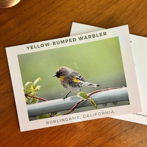 Könnte beinhalten: Ein Foto eines Gelbsteiß-Waldsängers, der auf einer Metallstange mit grünem Laub sitzt. Der Vogel hat gelbe Markierungen vor einem verschwommenen grünen Hintergrund. Der Text auf der Karte lautet "Yellow-Rumped Warbler" und "Burlingame, Kalifornien."