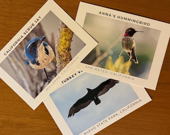 Your Choice of Any 3, 5, or 10 Postcards – Postcard Set | Snail Mail