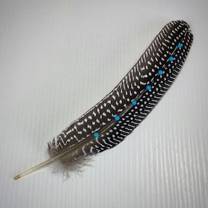 K&ouml;nnte beinhalten: Eine dekorative Feder mit einem schwarz-wei&szlig;en Fleckenmuster, verziert mit kleinen t&uuml;rkisfarbenen Perlen. Die Feder hat eine nat&uuml;rliche Form und Textur, mit einem hellbraunen Stiel.