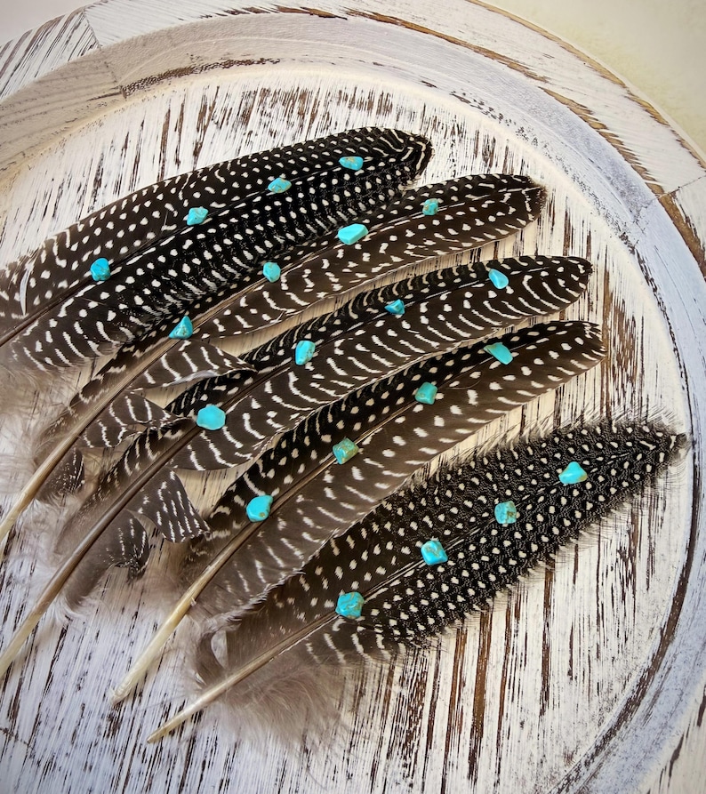 Turquoise Studded Pheasant Feather: Western Boho Hat Accessory Bild 14