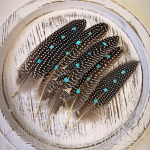 Turquoise Studded Pheasant Feather: Western Boho Hat Accessory Bild 20