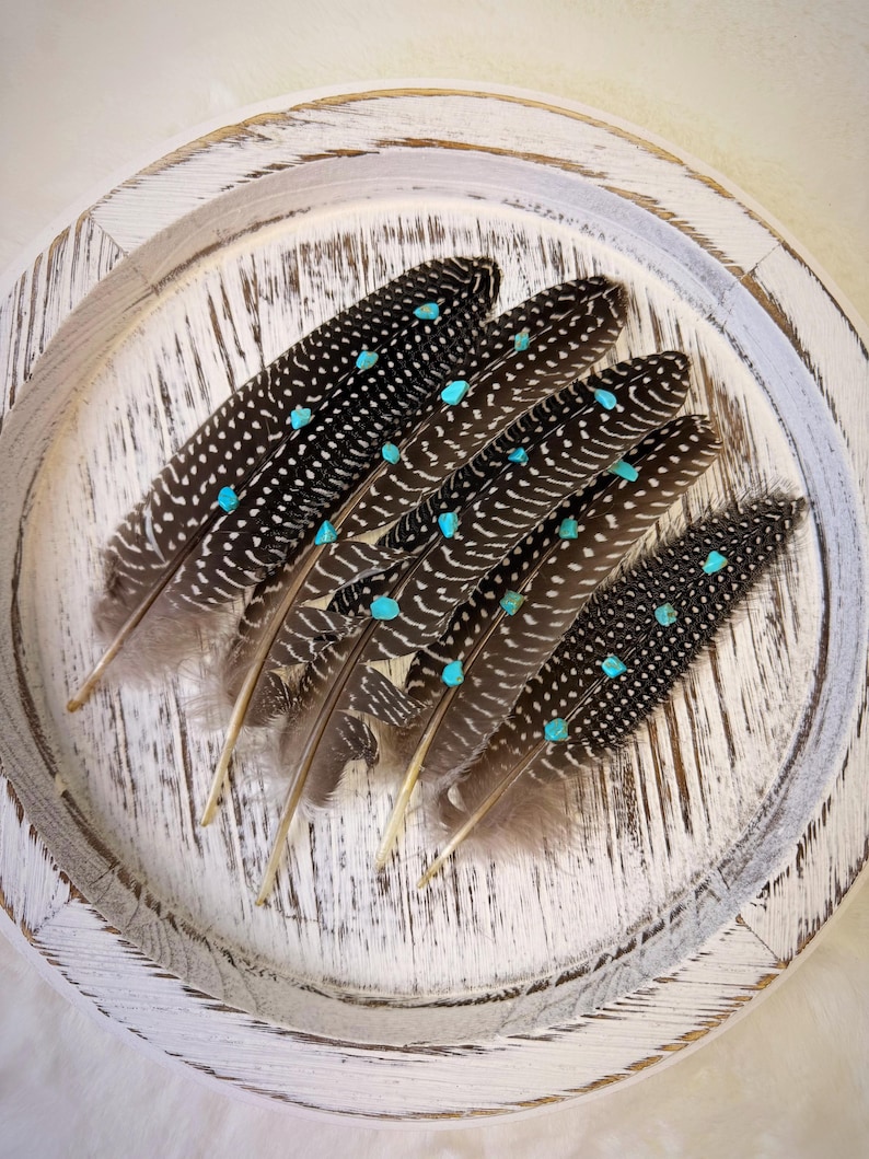 Turquoise Studded Pheasant Feather: Western Boho Hat Accessory Bild 20