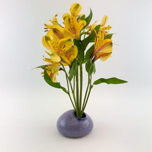 May include: A bouquet of yellow and orange Alstroemeria flowers with green stems and leaves in a small, rounded, speckled blue vase. The flowers have a speckled pattern and are in full bloom, creating a vibrant display.