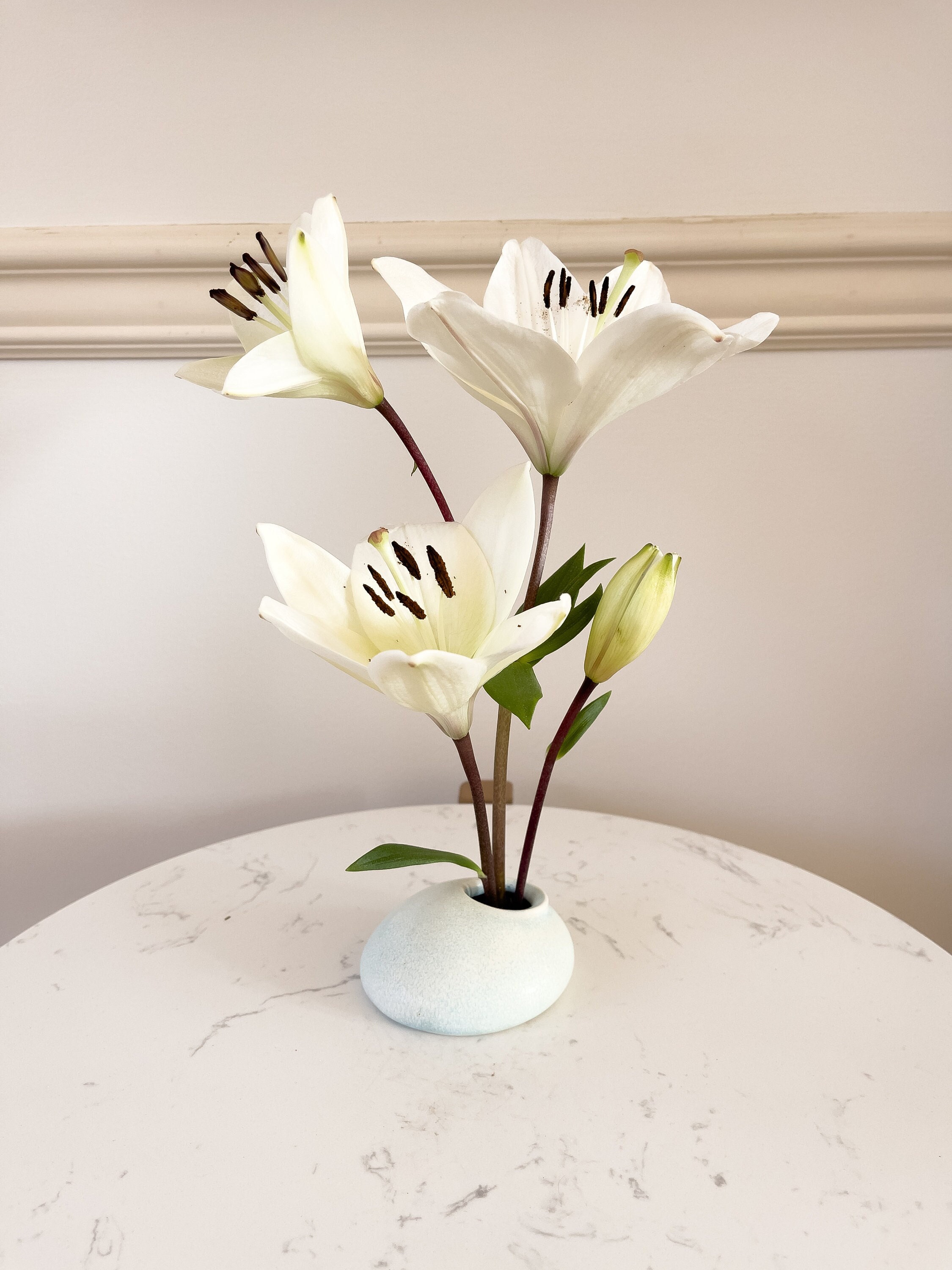 【公式】フジのお歳暮・冬ギフト Shop Ceramics by Jake Johnson - Ceramics by Jake Johnson 絵画