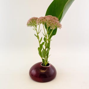 May include: A small, round, burgundy ceramic vase with a single opening at the top. The vase is filled with a single stem of pink flowers and a large green leaf.